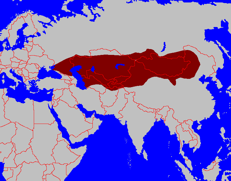 米底帝国,古波斯帝国(阿契美尼德王朝)的对外战争中,与萨卡(图兰)的