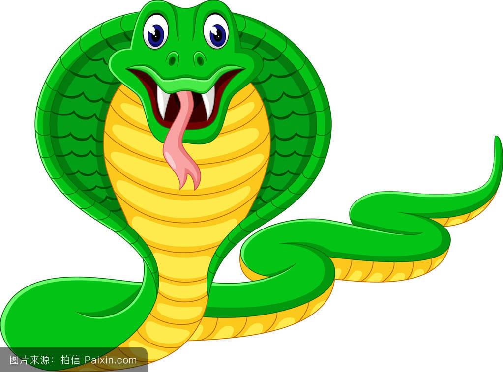精读《新概念英语(4)》-lesson 20- snake poison