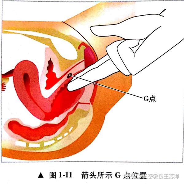 性高潮.来自一位海外小
