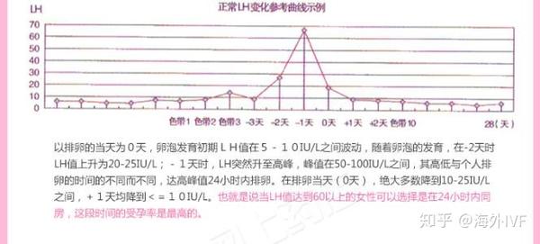 女性促黄体生成素(lh)高对试管婴儿胚胎着床有影响吗?
