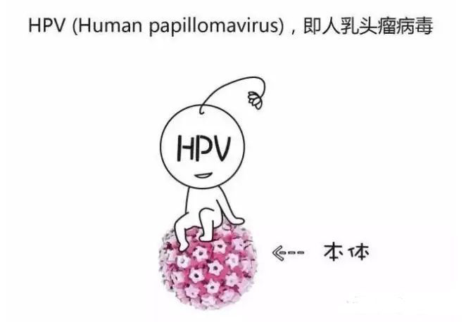 怎么知道自己是不是已经感染了hpv病毒
