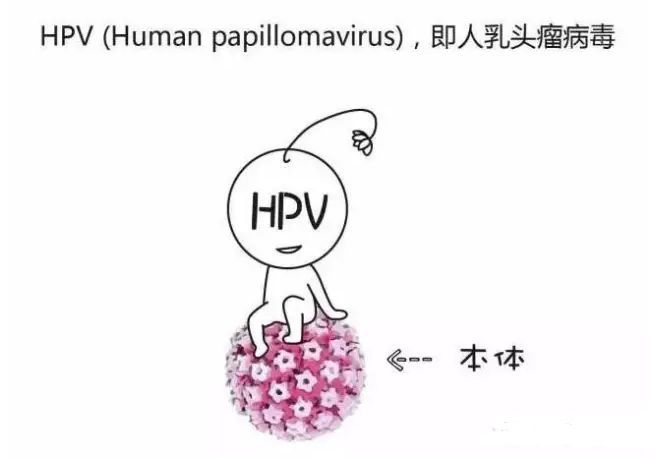 1,低危型的hpv感染表现:皮肤上为手足和特殊部位如趾甲颈部眼帘的一些