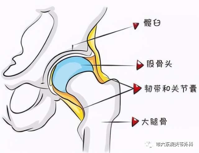 破"颈"重圆:微创手术治疗股骨颈骨折!