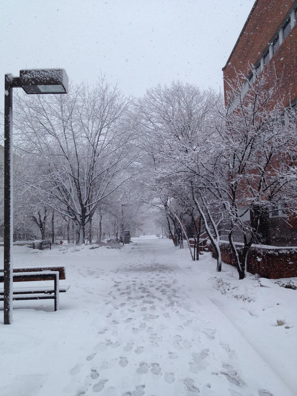 学校冬季经常下雪,虽然雪景有时很美,但室外气温还是很低的,冬天上学