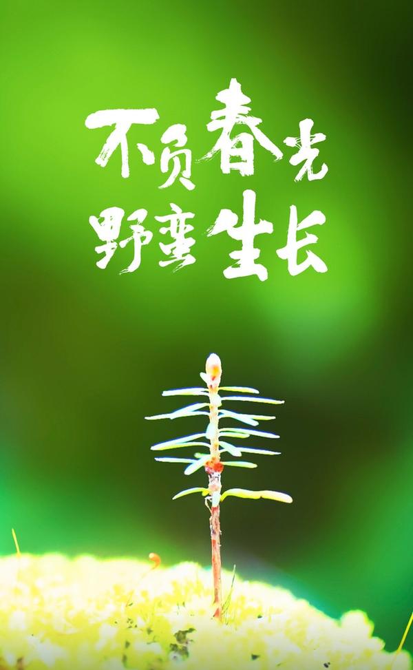 怎么追性格坚强自立内心孤傲保守的女生?