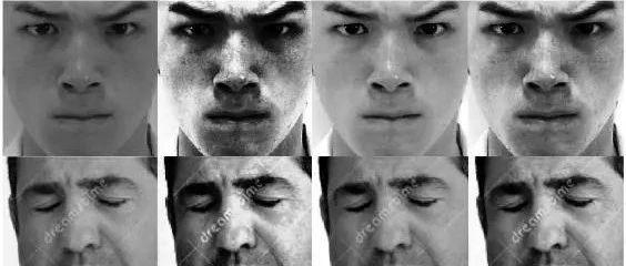 【完结】如何掌握基于图像和视频的人脸表情识别,这9篇文章可以作为一