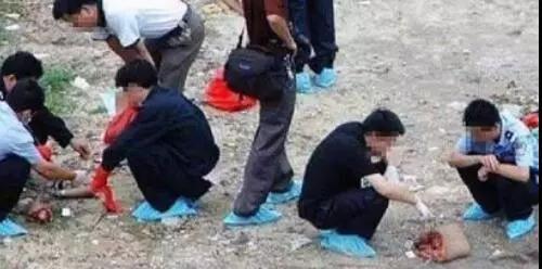 大案纪实:南宁三姐妹碎尸案