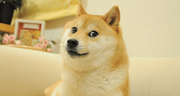 其中包括热门至今的"狗头"表情包,官方名称叫"旺财",原型是一只柴犬