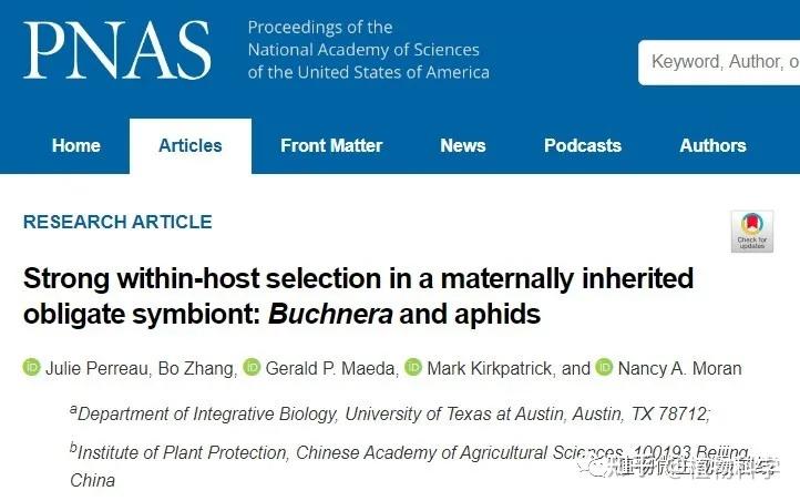 "strong within-host selection in a maternally inherited obligate