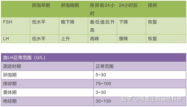 lh生理作用:促进排卵和黄体生成,以促使分泌雌激素和孕激素.