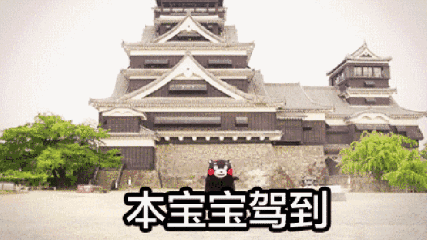 拥有一大波熊本熊表情图是一种什么样的体验?