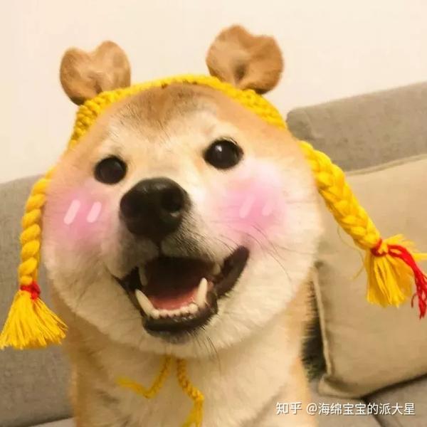 大神们都用过或见过哪些搞笑逗比的头像?