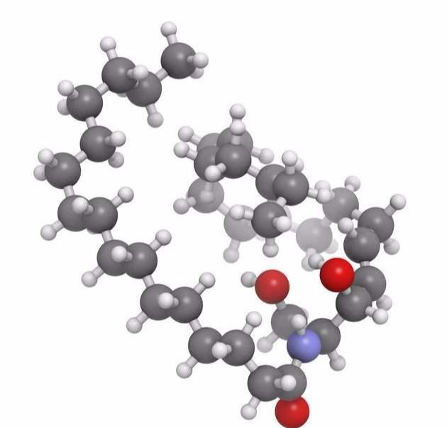 成分系列8-神经酰胺