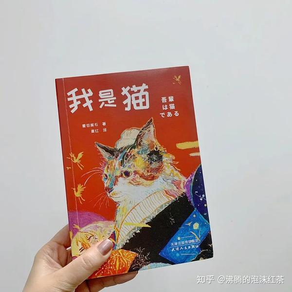 《我是猫》封面