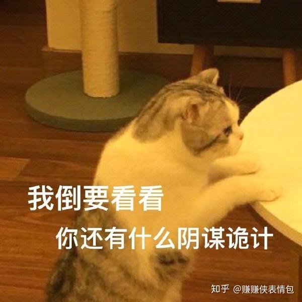 微信表情包图片:朋友圈聊天,你试试不秒回看看