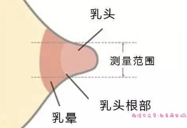 根据测量乳头根部所得的大小,再比对吸奶器品牌提供的不同尺寸.