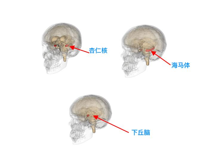 v2 db83d550e1b087b17085fb86c9ed5109 720w