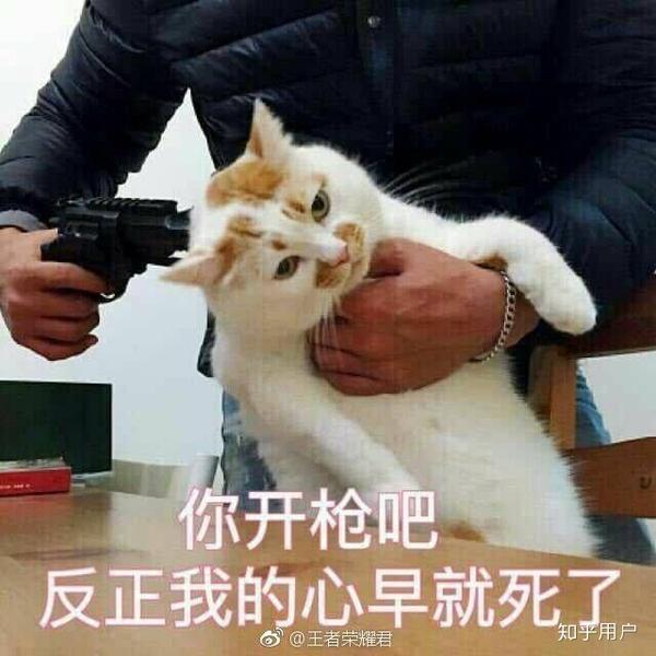 大家有没有一瞬间信仰崩塌或者死心过?