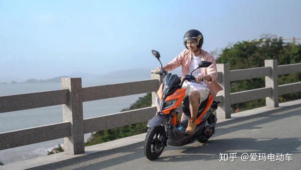 图注:爱玛-极客x300