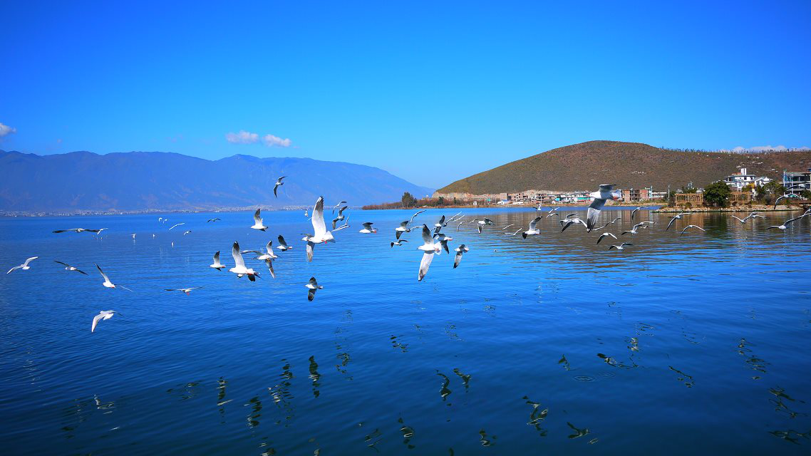 "昆明"旅游,必去景区值得我们深扒!