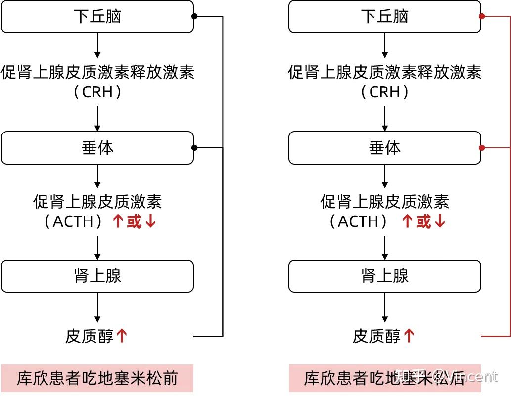 肚皮的肉那么多会不会得了库欣综合征