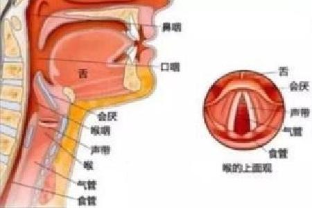 首大计成咽喉囊肿会有哪些症状表现