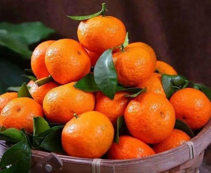 砂糖橘减产又减收,种植户正在面临重大挑战!