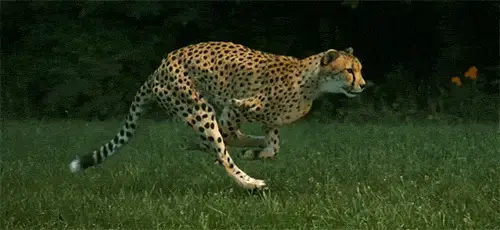 v2 dd04497fc89716c5e44e94c9e972ce74 720w