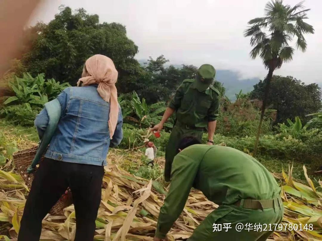 主官进行了周密部署,围绕缅甸民族正义党和缅甸民族民主同盟军的路线