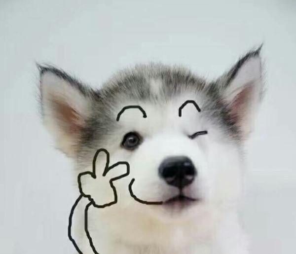 hhhhhhhhhh 仰天长笑三分钟 下面都是大杂烩 英俊潇洒风流倜傥一枝