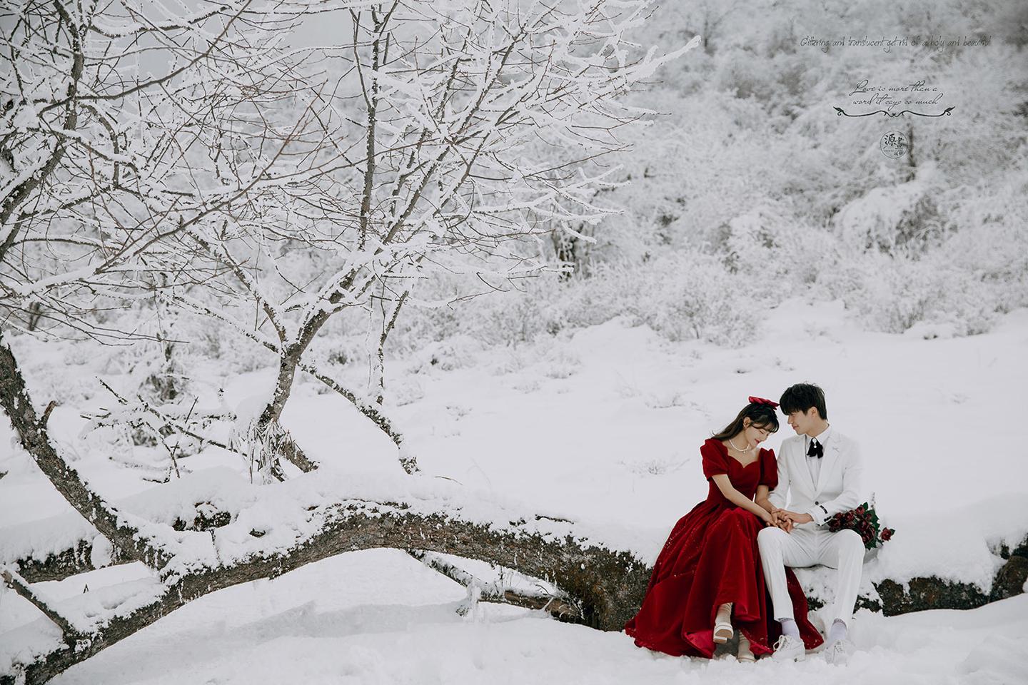 雪景婚纱照  迪士尼在逃系列