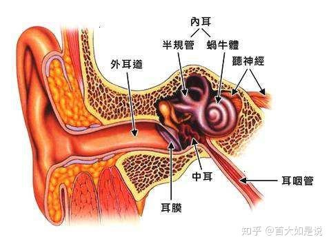 首大李希平:中耳炎是什么?如何预防?