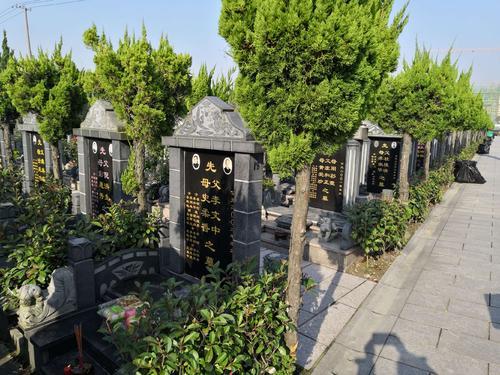 快到清明早知道,农村俗语:祭祀坟前有一宝,如不毁掉财会来?