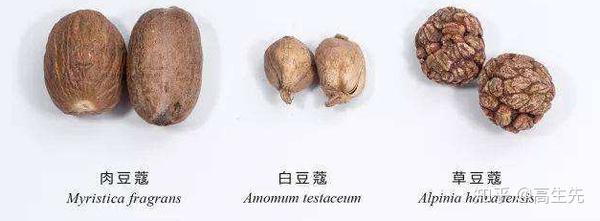 豆蔻进口清关报关窥见药食同源香料的进口