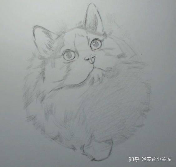 教程可爱猫咪素描教程毛发还可以这样塑造