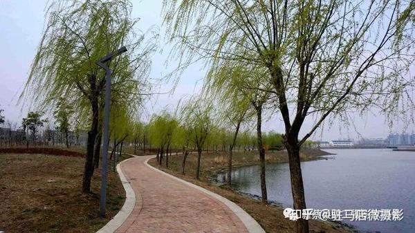 河南新蔡:走进南湖公园,享受美好春色!
