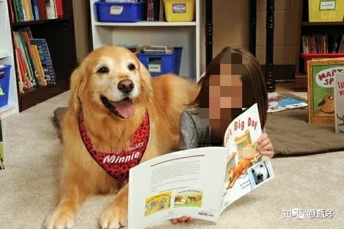 给狗狗读书?没听错吧?无厘头趣事