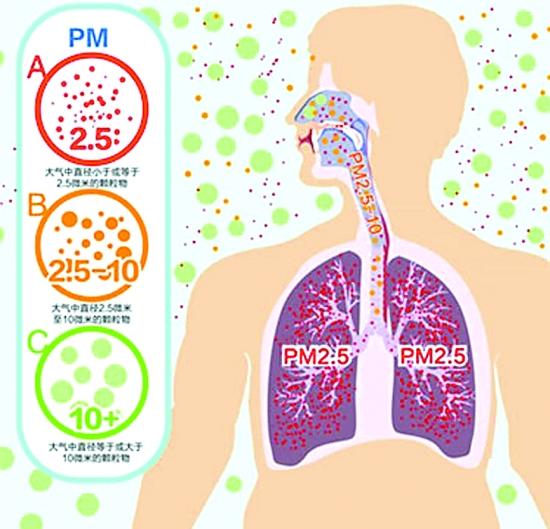 4,pm2.5颗粒物可通过气血交换进入血管