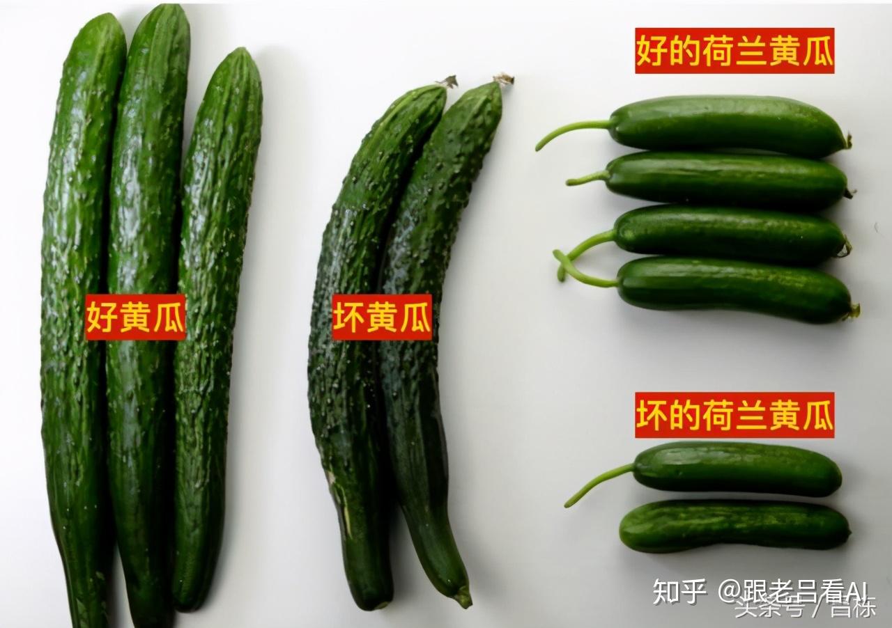 深度学习搭建自动分拣黄瓜的系统