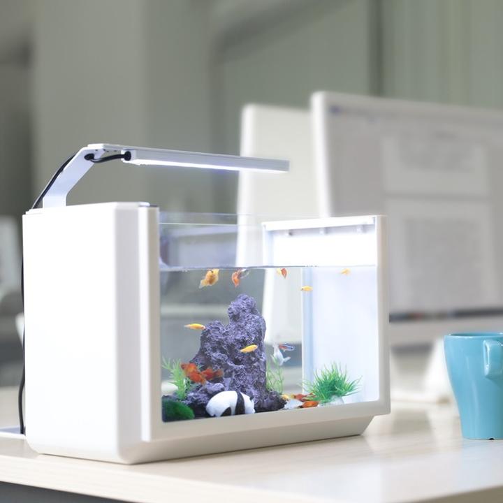 桌面鱼缸推荐之微型鱼缸小型鱼缸创意鱼缸