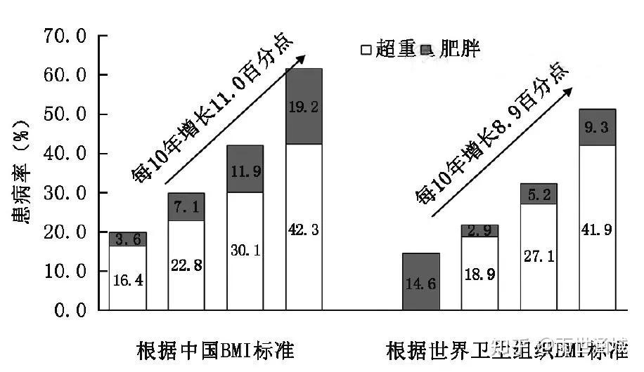 大数据中国成年人超重肥胖率超过50最适合中国人的减重方式你应该了解