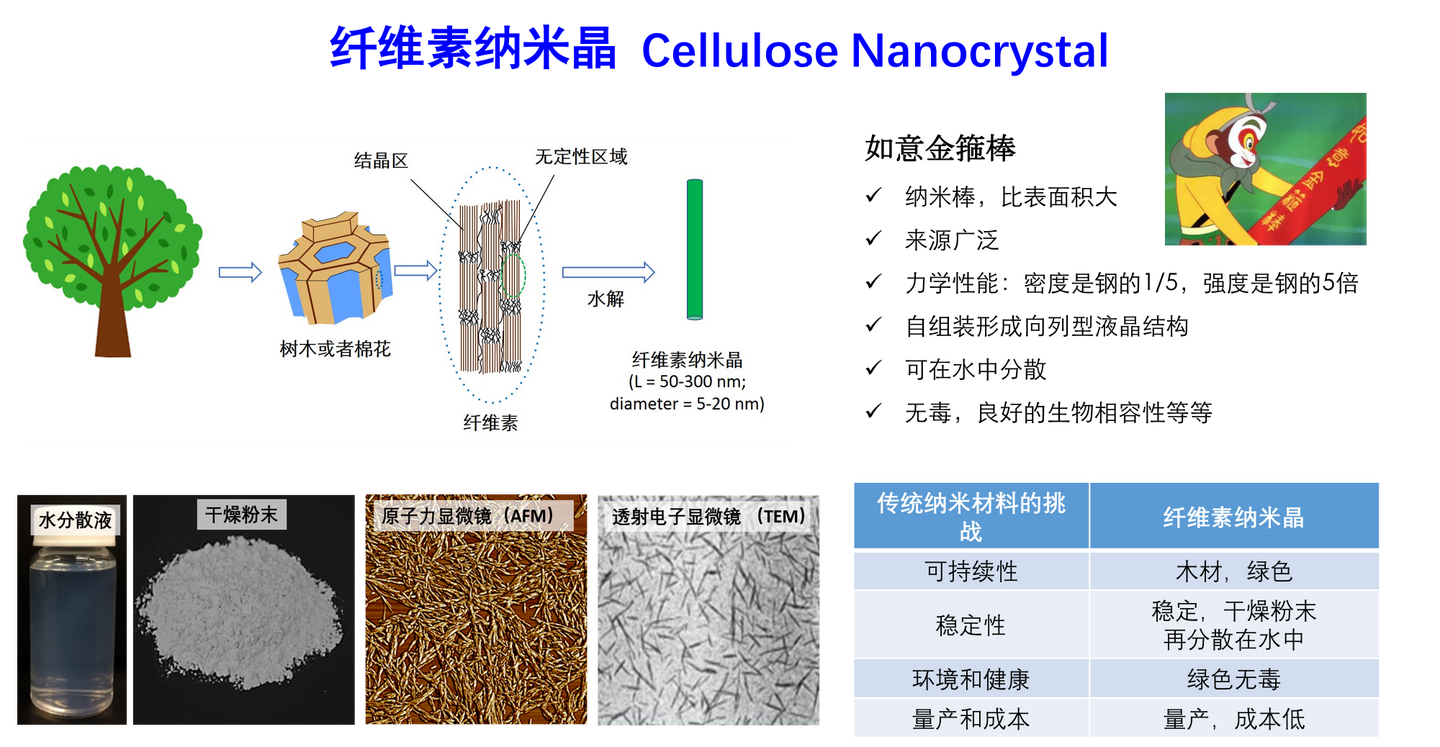 纤维素纳米晶 cnc 简介,性能和应用 三思科技 sciencek