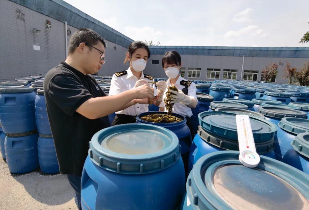 "8月8日,工作31年的老关员路建平正带领新关员刘书维(右)清点核对西部