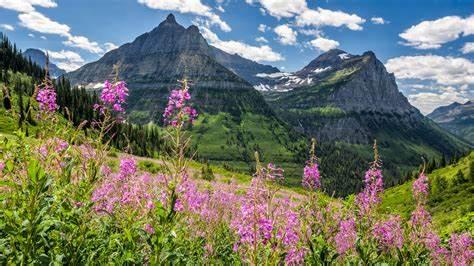 大陆之冠冰川国家公园glaciernationalpark