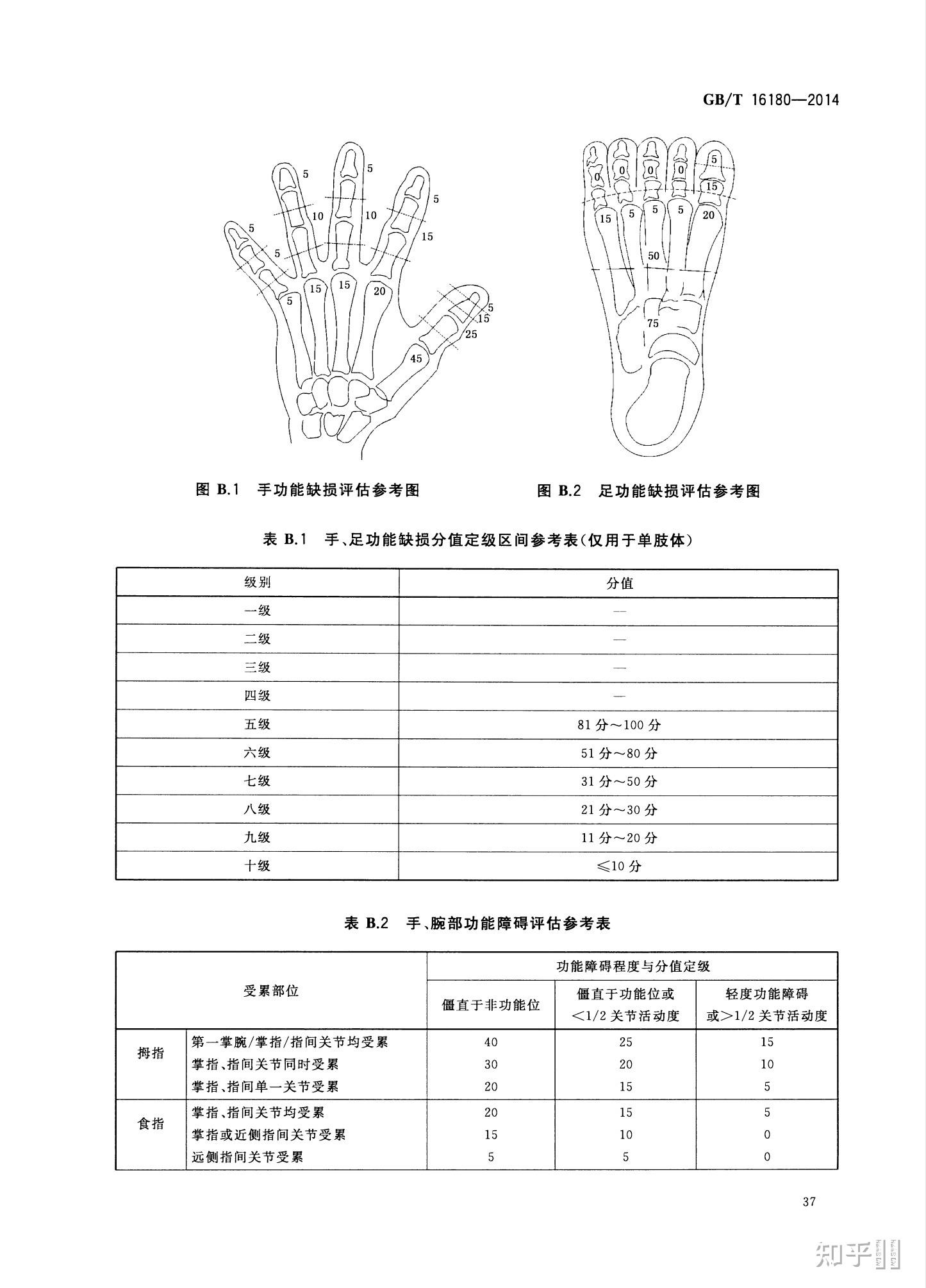 左脚大拇指末端骨折算几级伤残?