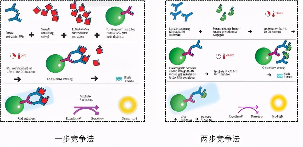 免疫诊断主要分为放射免疫,免疫层析,酶联免疫和法学发光,化学发光