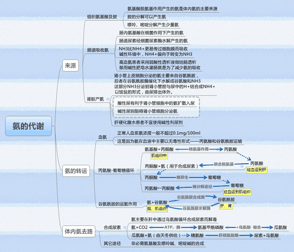 生物化学思维导图