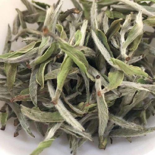 白牡丹白茶的价格多少钱一斤?不同年份的白牡丹参考价