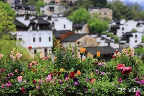 全球最美的10个鲜花小镇,婺源的你去过吗?