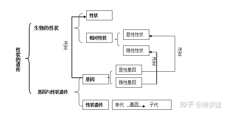 济南版初中生物八年级上册《性状的遗传》公开课优质课课件教案视频